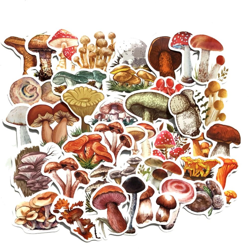 Mushroom Stickers (40pc)